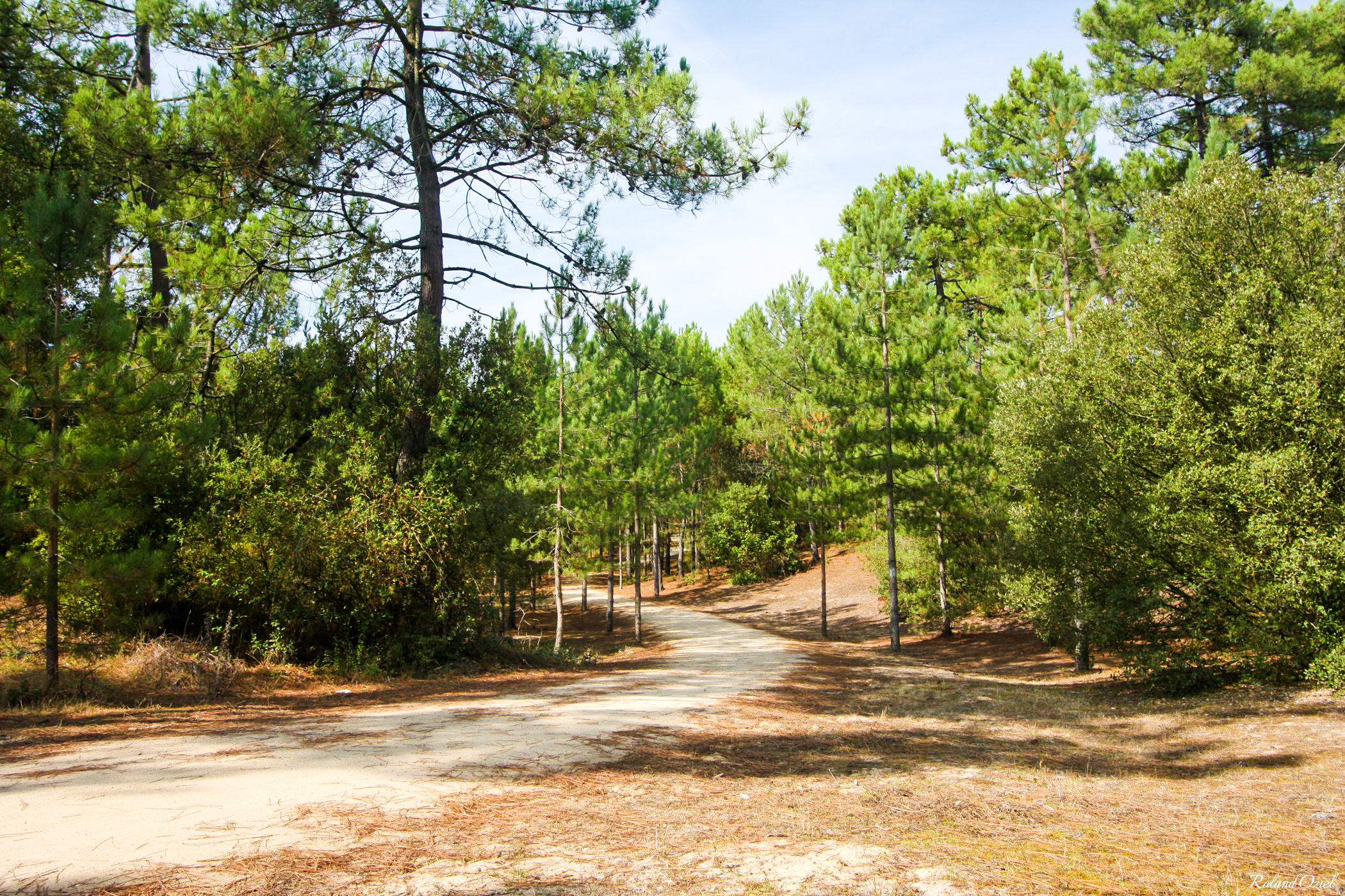 camping au coeur de saint jean de monts 
