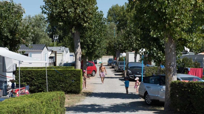 Camping acceptant les animaux Saint jean de monts