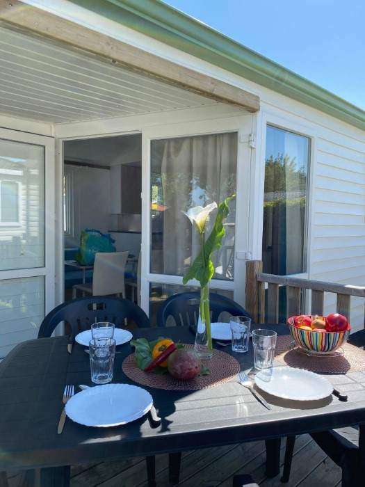 Camping acceptant les animaux Saint jean de monts